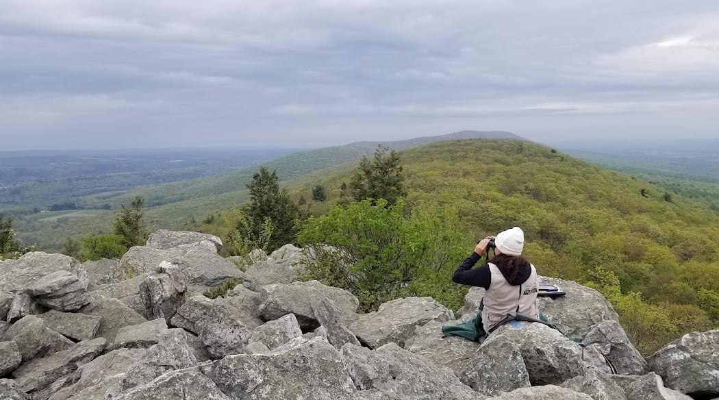 Hawk Mountain Sanctuary 3